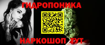 мдпв Лесосибирск