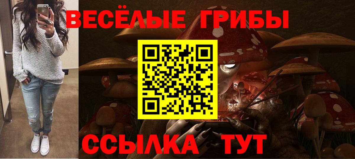 Ульяновск  Галлюциногенные грибы мицелий  Вход с VPN  Псилоцибиновые грибы Psilocybe 