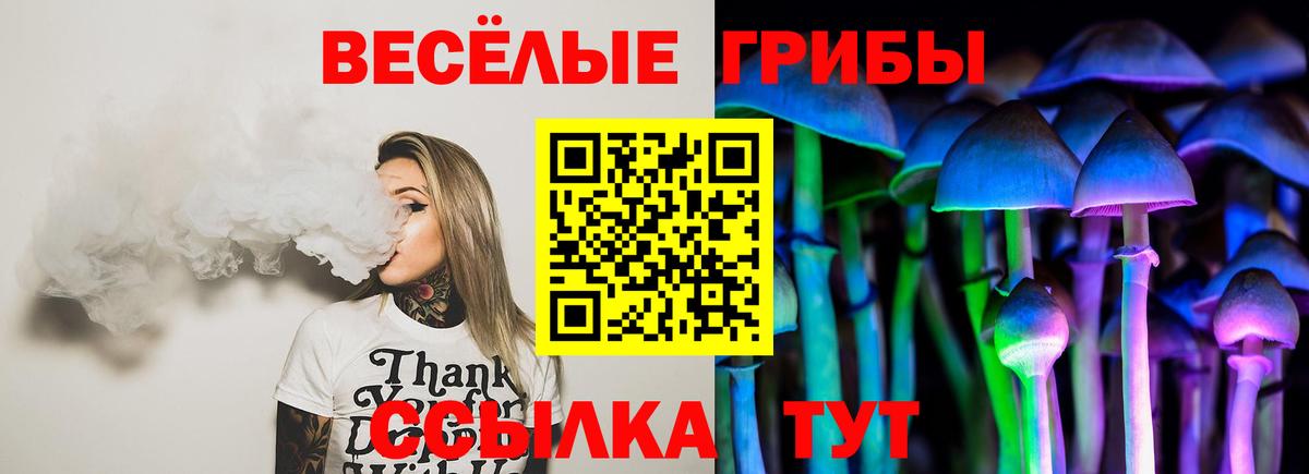 Галлюциногенные грибы GOLDEN TEACHER Ульяновск